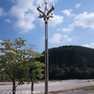 Golden Ox street light