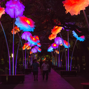 Outdoor LED Flower Motif Light Sculpture